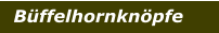 Büffelhornknöpfe