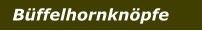 Büffelhornknöpfe