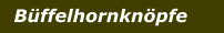 Büffelhornknöpfe