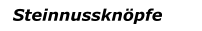 Steinnussknöpfe