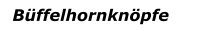 Büffelhornknöpfe